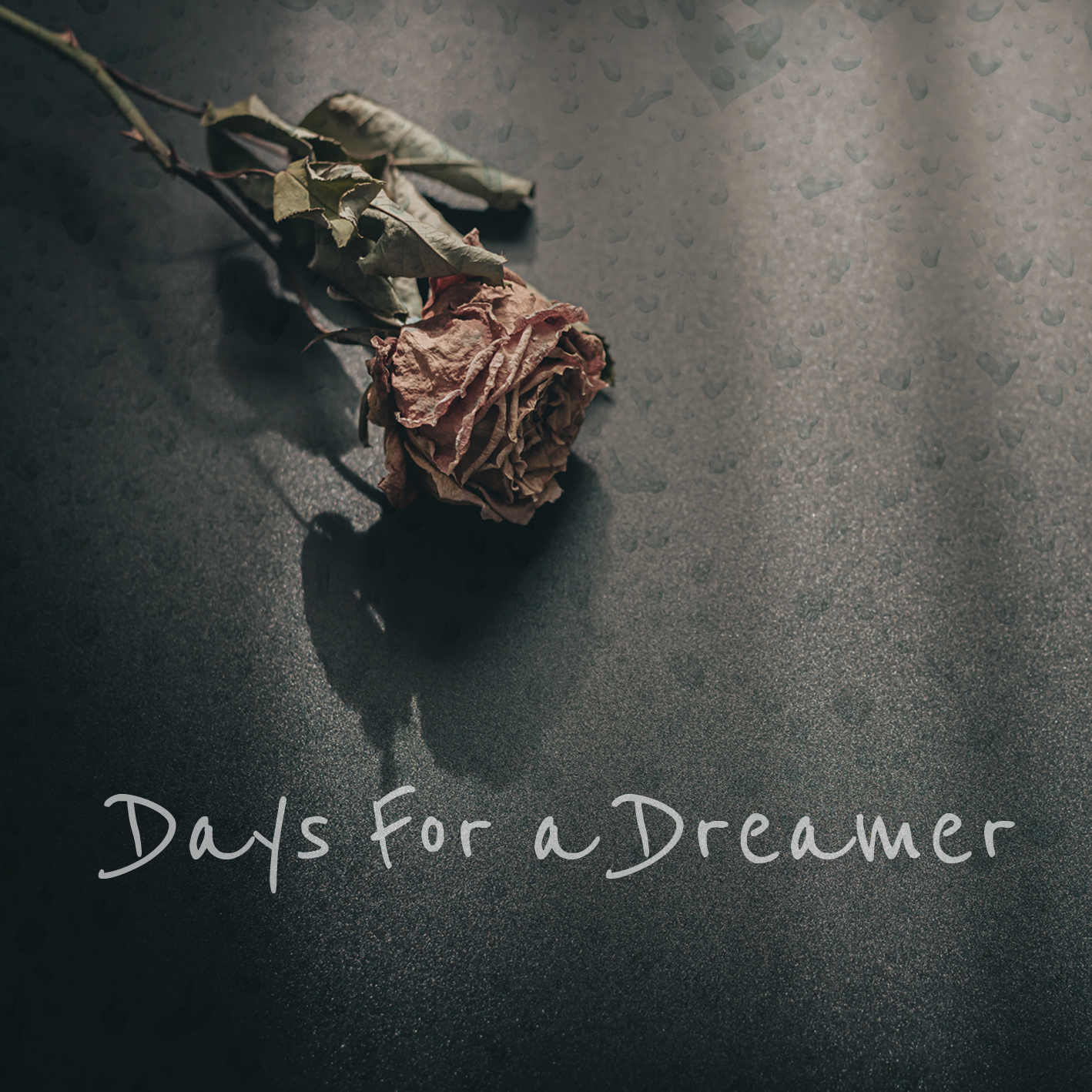 Days For a Dreamer / SEISHI TOYA