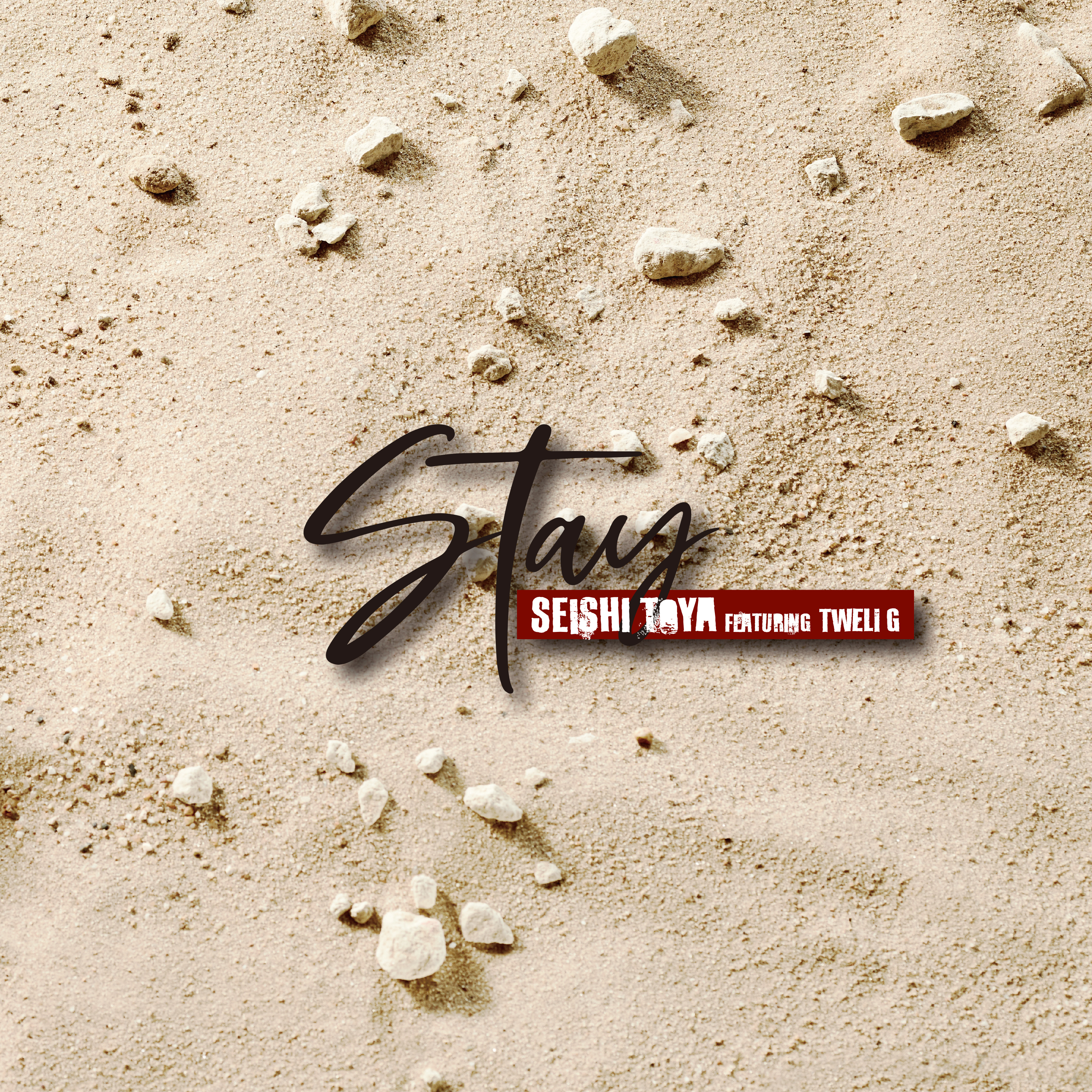 STAY / SEISHI TOYA featuring Tweli G